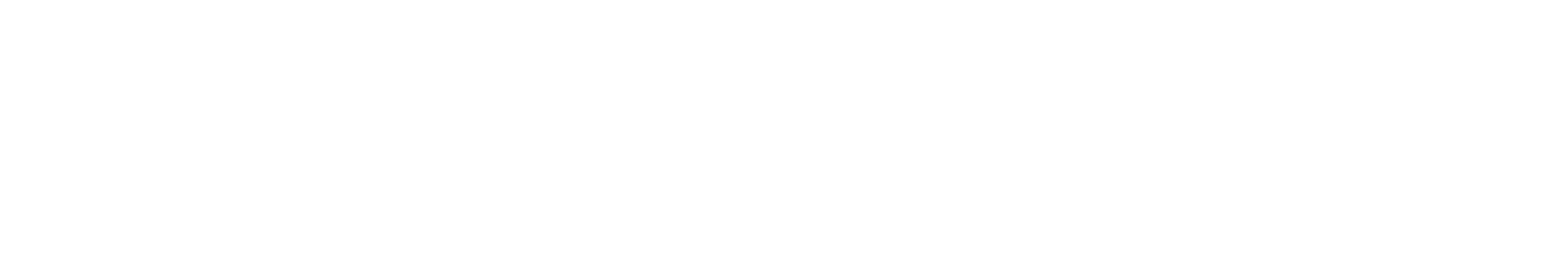 Hitpartner Logo